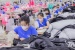 Từ gia công đến tự thiết kế: Bước chuyển năng suất của doanh nghiệp dệt may Việt